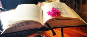 22-10-2014_Emilio Alessandro Manzotti_romanzoFRECCIA_scriverefantasy