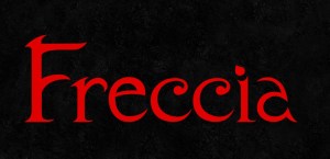 31-10-2014_Emilio Alessandro Manzotti_romanzo FRECCIA