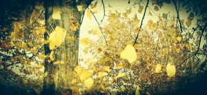 17-11-2014_Emilio Alessandro Manzotti_romanzo FRECCIA_i luoghi di Freccia paradiso